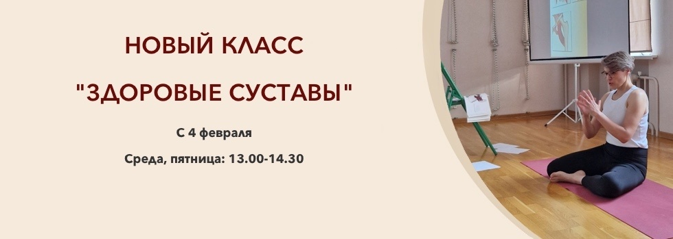 суставы